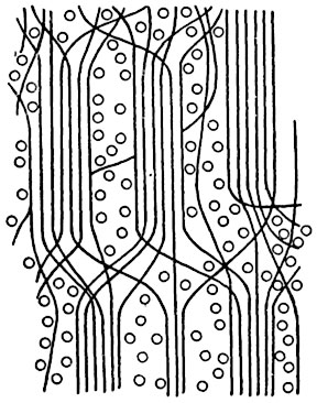 Рис. 53. Схема   мицеллярного строения целлюлозы.