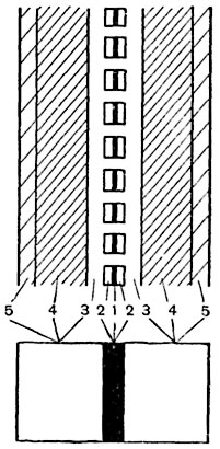 Рис. 61. Схема строения стенки     между       двумя клетками: