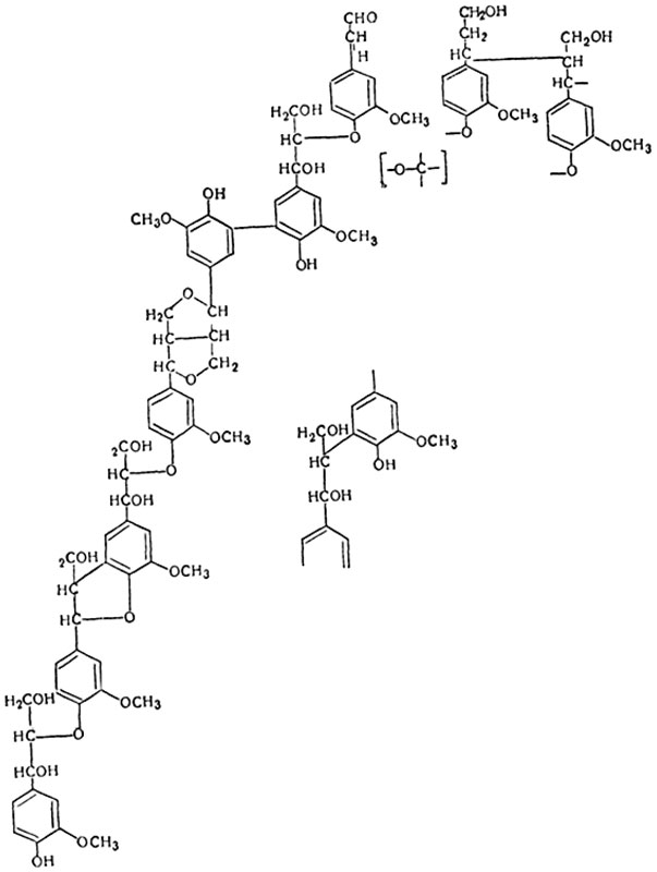 Рис. 75. Схема строения небольшого участка молекулы лигнина. Один из возможных вариантов строения.